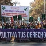 CIENTOS MARCHAN EN CHILE POR LA REGULACIÓN DEL CANNABIS